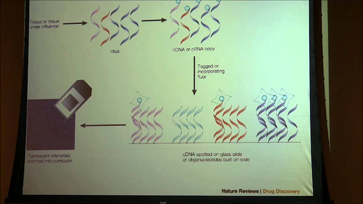 Recurrence in Jacobsen Syndrome (2014 11q Conferen...