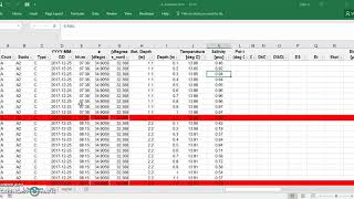 export excel file to ocean data view hebrew