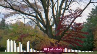 Bişarkı Mola Kayıp Yollar