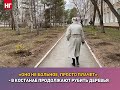 В Костанае продолжают рубить деревья.