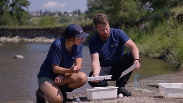 Macroinvertebrate Monitoring with CreekWatch