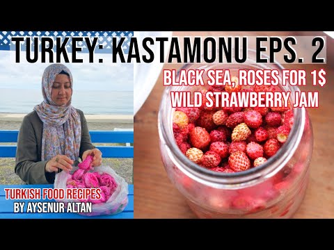 Daily Black Sea Trip From Kastamonu | S1 Eps. 2