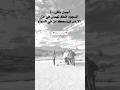 اجمل مافي السجود انك تهمس في اذن الارض فيسمعك من في السماء 