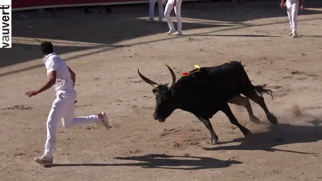 Rétrospective saison taurine 2024