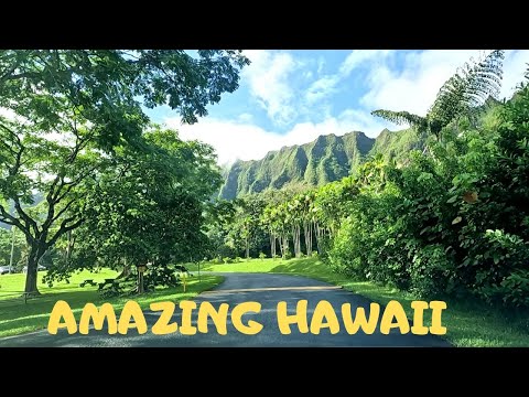 Видео: Ботанические сады Мауи показывают цветочный шоппинг на Гавайях
