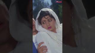 Sridevi's Romantic Song - Chhuee Muee | छुई मुई | #jeetendra | #himmataurmehanat #song #shorts