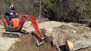 We have some work to do with the Kubota K008...Move some dirt and dig out stumps