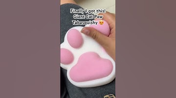 Cat paw tabasquishy squishy toys to squeeze! Cute and soft! 🥰💕#squishytoy #squishy #diy