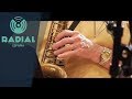 Barcelona Jazz Orquestra - Rompin&#39; at the Reno (Live)