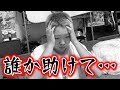 悪質な嫌がらせはやめてください。