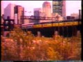 albert collins and bruce in chicago