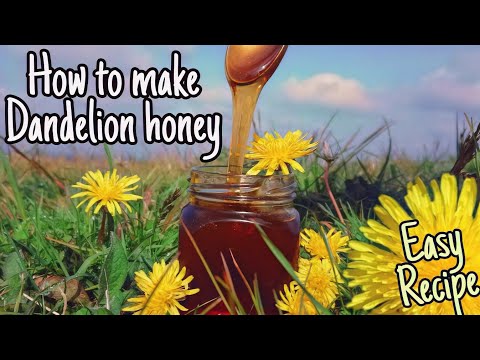 วีดีโอ: วิธีทำน้ำผึ้งจากดอกแดนดิไลออนง่ายนิดเดียว