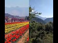 kashmir ki jannat#nature