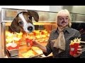 Forsen / Nani's New Puppy & Forsen's new job at McDonald's (ft. Reckful) | Stream Highlight/Catch-up