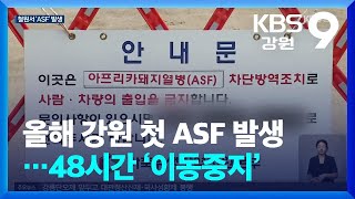 올해 강원 첫 ASF 발생…48시간 ‘이동중지’ / KBS  2024.05.22.