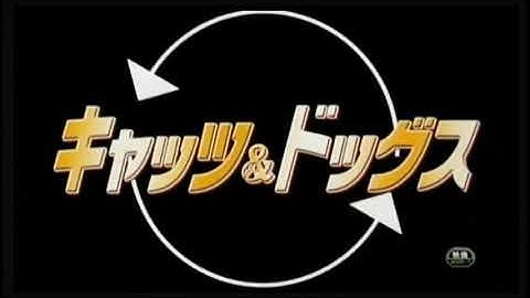 【映画】キャッツ＆ドッグス  予告