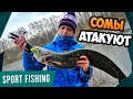СОМЫ НЕ СПЯТ! Зимний ТРОФЕЙ на реке! Ловля пассивного СУДАКА на спиннинг!