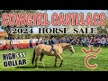 The boujeest horse sale in wickenburg arizona