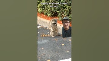 Rabies is very scary...
