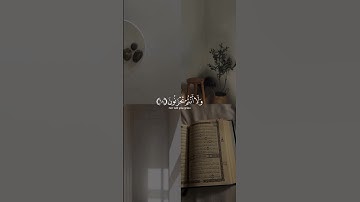 #تلاوات #القرآن_الكريم #تلاوة_خاشعة #ياسر_الدوسري