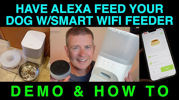 How To Have Alexa Feed Your Dog with Smart WiFi Dog Feeder & Echo Device