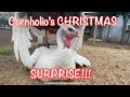 BEHIND THE SCENES: Cornholio’s Christmas Miracle