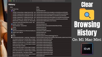 Clear Browsing History from Safari in Mac Mini (M1, 2020)