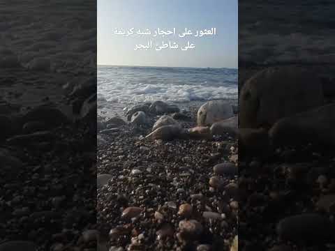 العثور على احجار شبه كريمة على شاطئ البحر Semi Precious Stones On Beach 