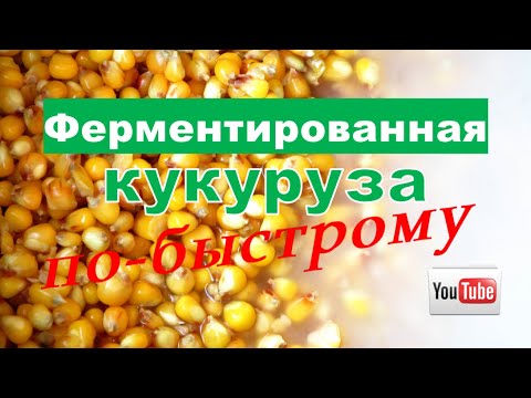 Ферментированная Кукуруза По-БыстромуЭкспресс-Метод Fishing Video