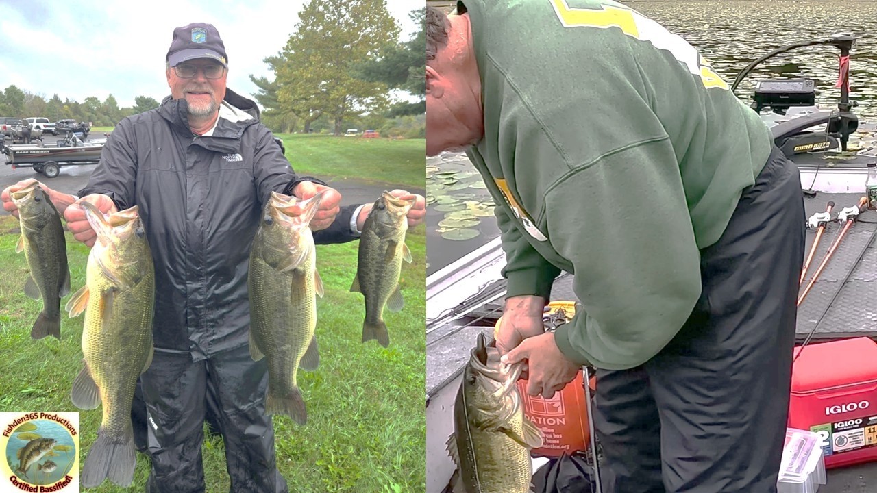 My Bass Tournament Highlights