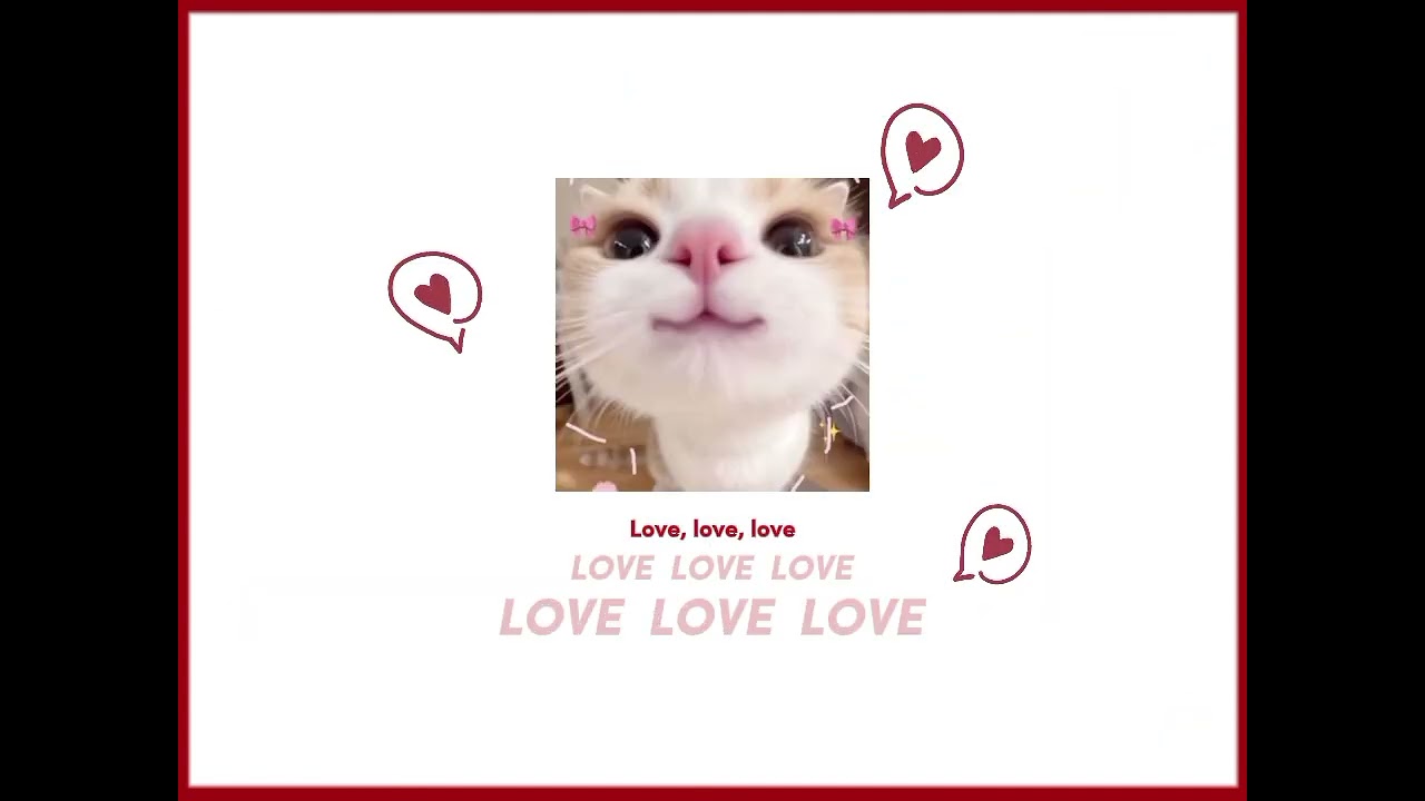 KITTYY🌸💐💐🌸