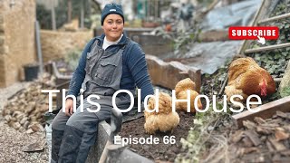 Re-planting our garden, Episode 66