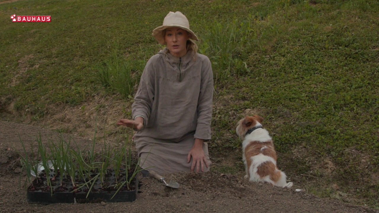 Škola vrtlarstva - mladi luk