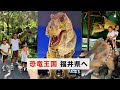 【恐竜だらけ🦖】子ども大興奮!日本最大級の恐竜博物館へ|3兄弟ママの福井Vlog