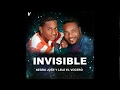 Invisible - Lele El Vocero, Negro Jose (Audio Oficial)