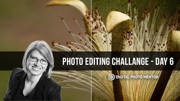 Luminar 4 Texture Overlay Tutorial | Day 6