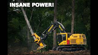 Tigercat Harvester Cutting Trees in Action
