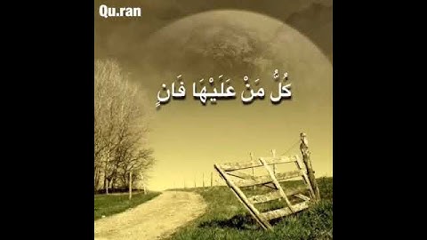 كل من عليها فان ويبقى وجه ربك ذو الجلال والإكرام - سورة الرحمان