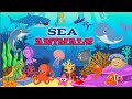 Different Sea animals - kids channel with jcpotch