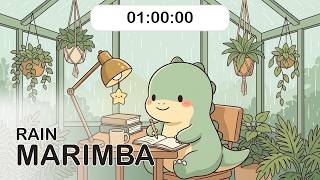 1 Hour Timer 🦕 1 Hr Study Timer for Classroom & Focus | Soft Music, No Talking screenshot 3