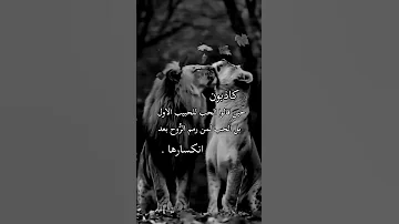 كاذيون حين قالو الحب للحبيب الاول 