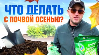 Что нужно делать с почвой после уборки томатов осенью? / Илья Макаров