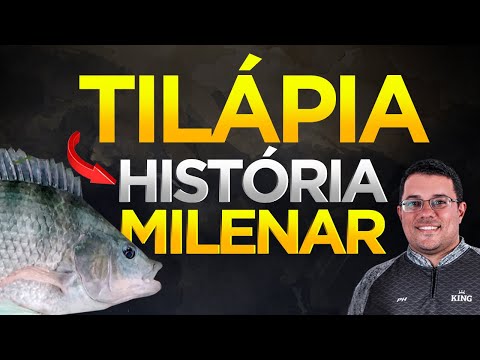 Videó: A tilápia szájhús?