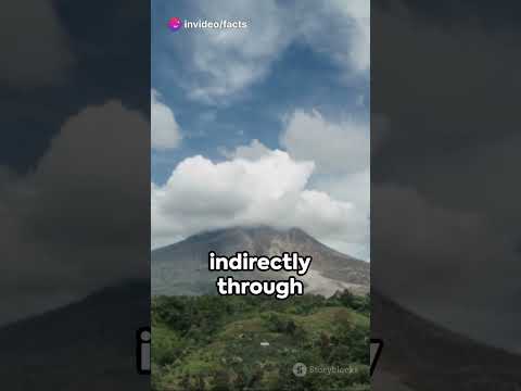 Video: Vullkan Tambora. Shpërthimi i malit Tambora në 1815