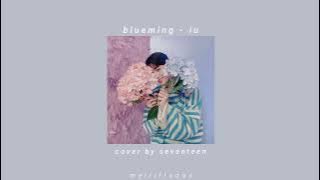 blueming [iu] - cover by SEVENTEEN
