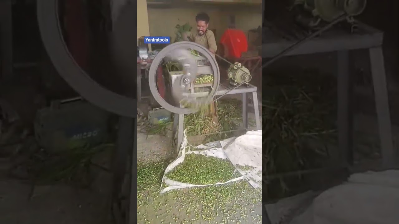 Chaff Cutter Machine | Grass Cutter | Fodder Cutting Machine 7363940757 #eletric #kutticutter