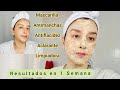 Mascarilla EXfoliante Antimanchas / Antiflacidez. PIEL TERSA. LIMPIA Y SIN MANCHAS