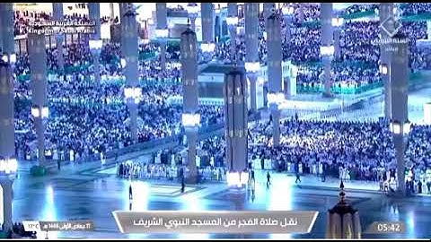 صلاة الفجر المسجد النبوي الشيخ د.أحمد الحذيفي الثلاثاء 17 جمادى الأولى 1446هـ سورة المعارج