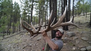 FOUND ANOTHER KEEPER SET OF ELK SHEDS!