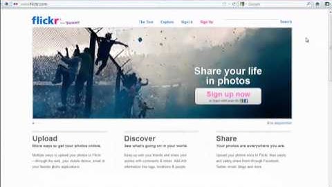 Google and Flickr Image Search